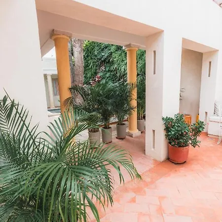 Casa Jaguar Boutique Cartagena